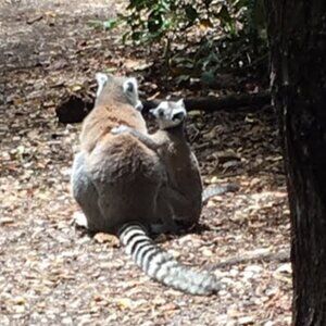 Meet your Posher, Posh